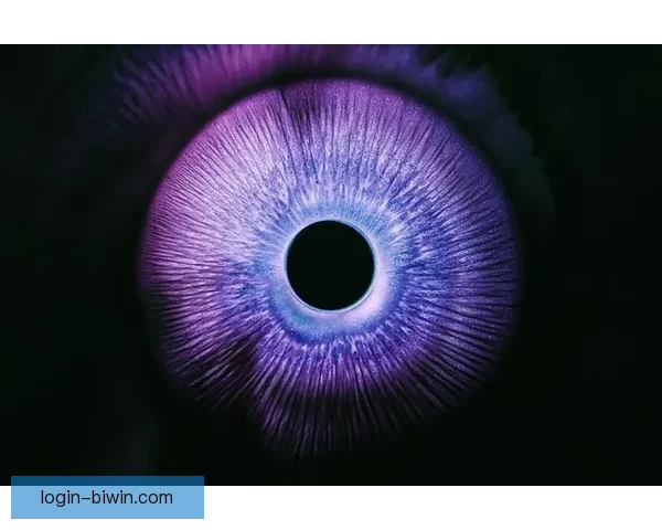 布儒斯特角光学现象及其在液晶显示与光学薄膜应用中的研究探索